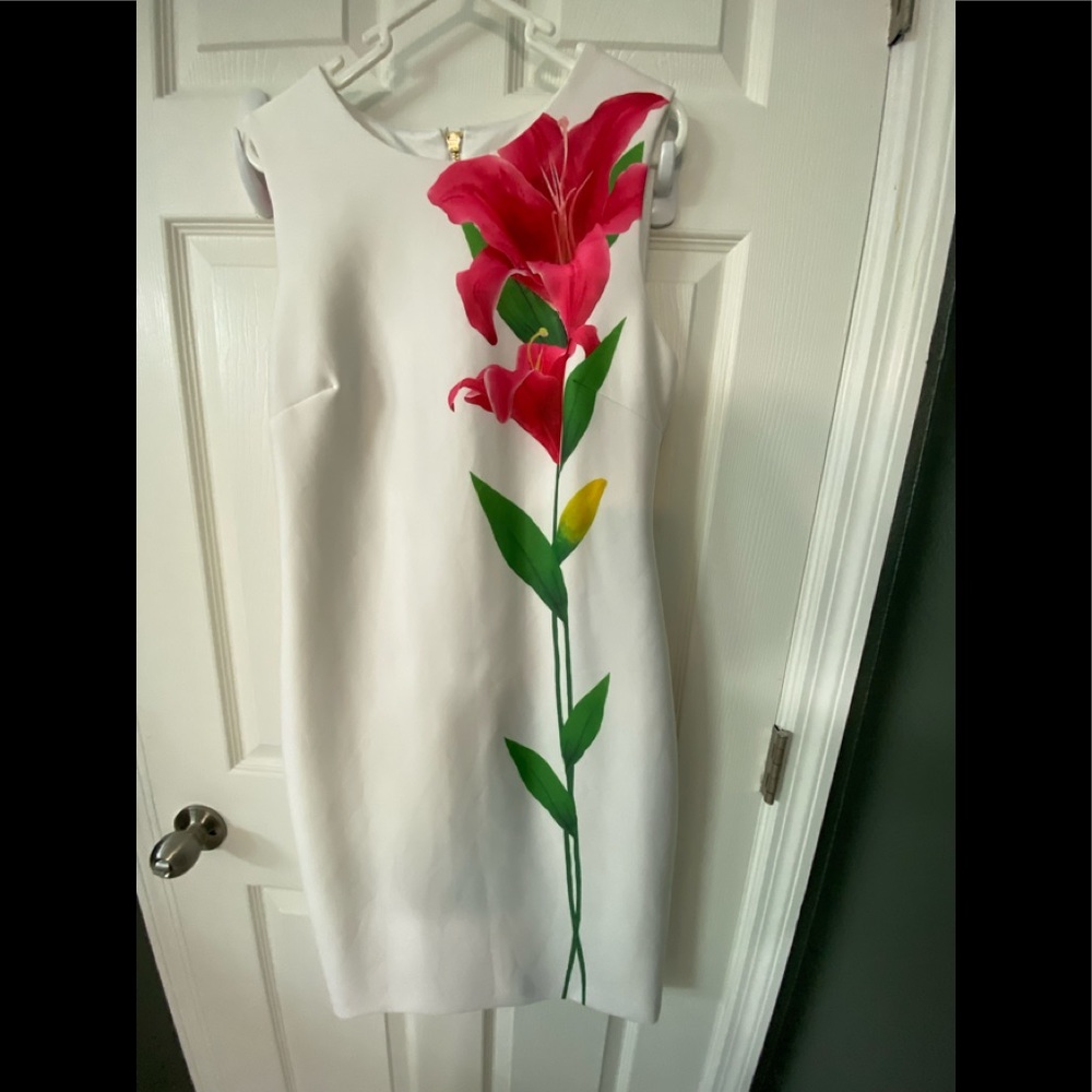 Beautiful Calvin Klein, summer or spring dress
